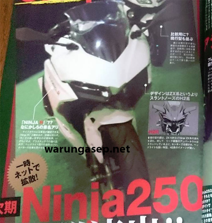ninja300-2017-2.jpg