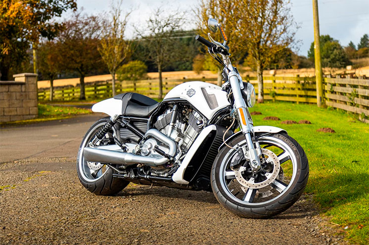 VRSCF-V-Rod-Muscle-