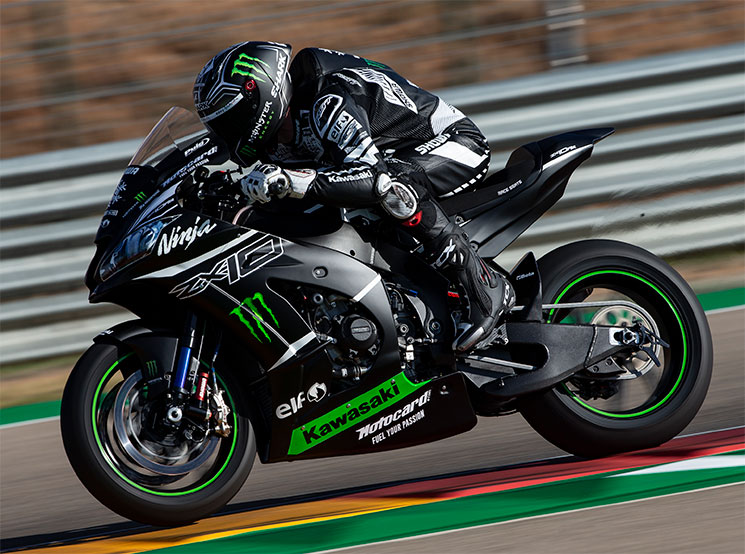 AlexLowes(1).jpg