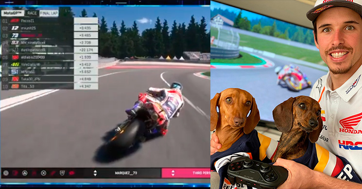 AlexMarquez-35543.jpg