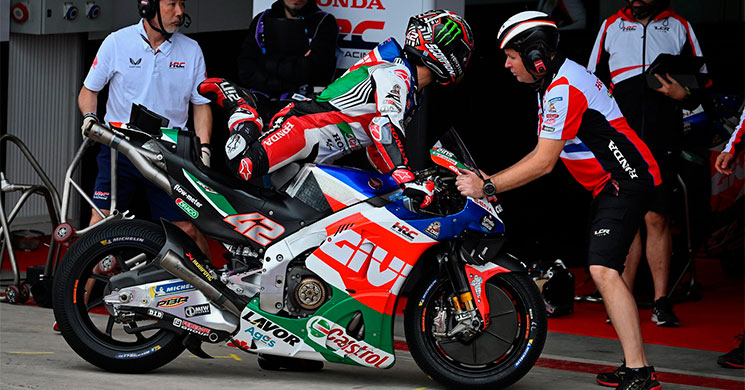 s/AlexRins-346543(1).jpg