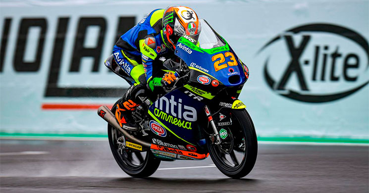 antonelli