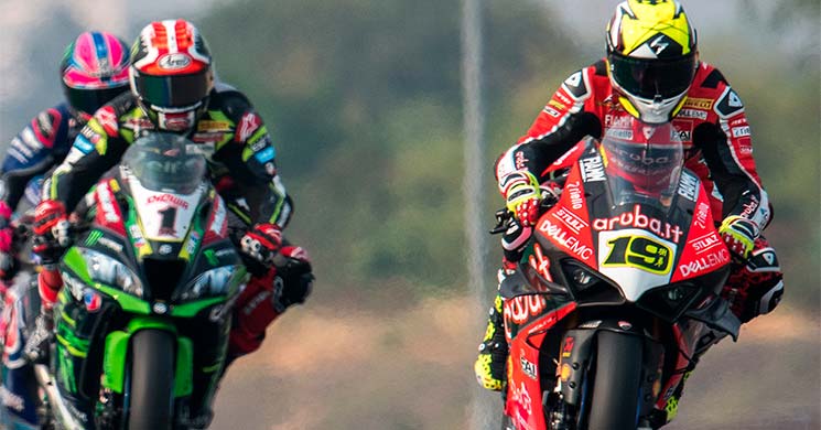 bautista rea 2019