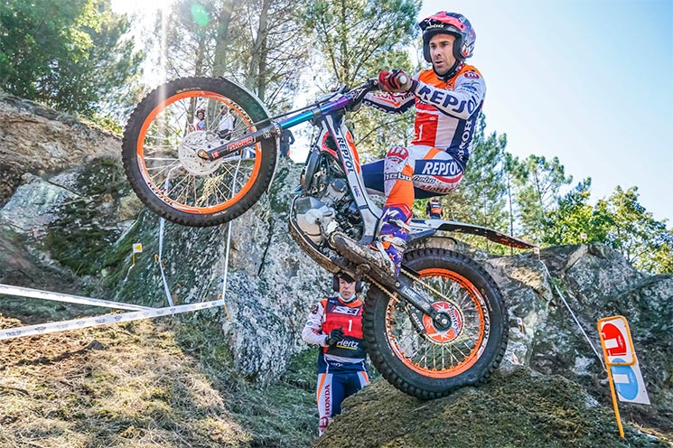 toni bou