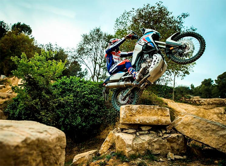 toni bou at