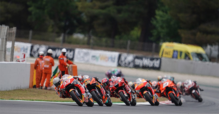 cIrcuitCat464.jpg