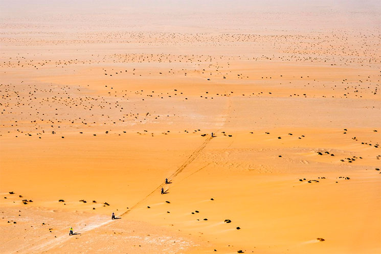dakar 2020
