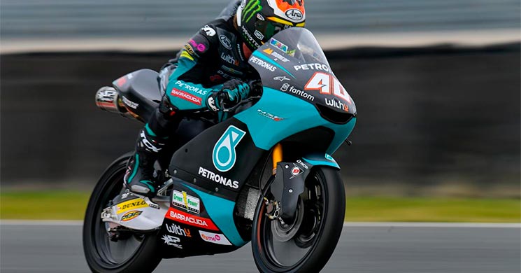 darryn binder