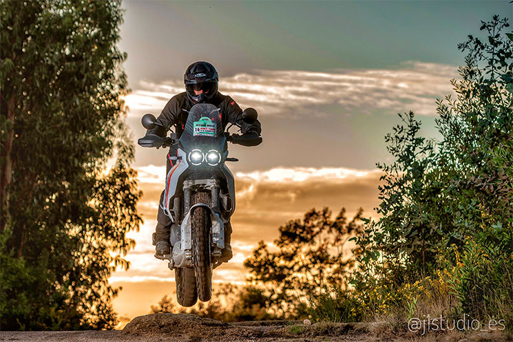 ducati desert x