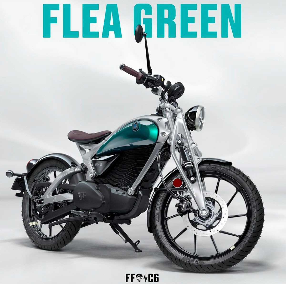 FlyingFleaC6_compressed