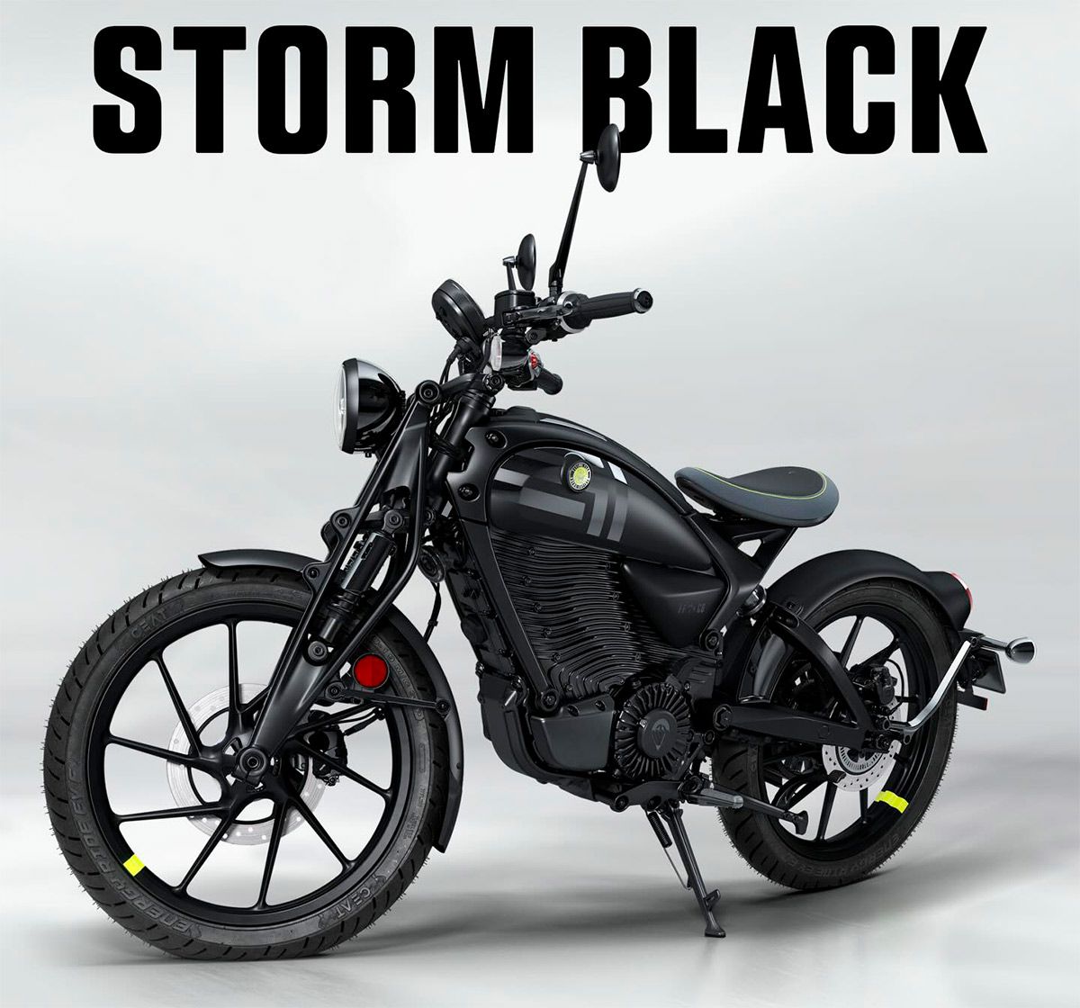 FlyingFleaC6_compressed