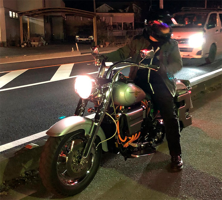 HarleyFatBoyElectrica-2.jpg