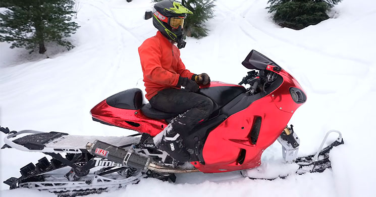 suzuki hayabusa