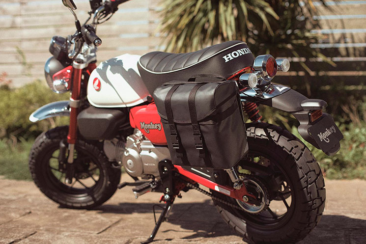 /HondaMonkey125-1.jpg