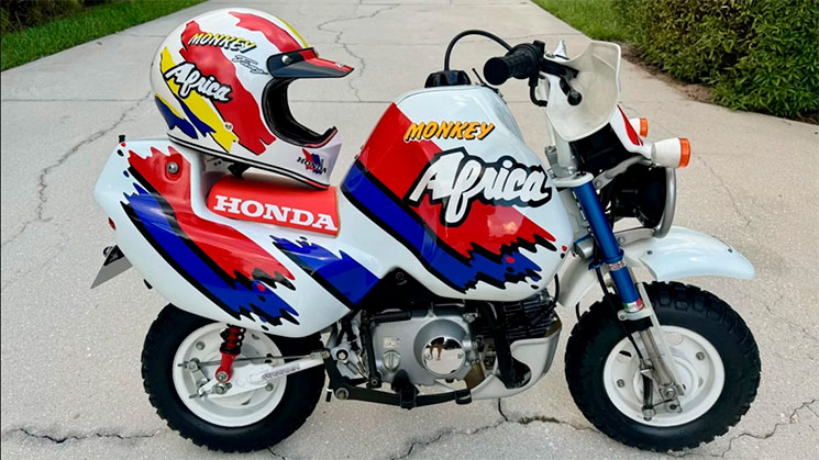 HondaMonkeyBajaAfrica.jpg