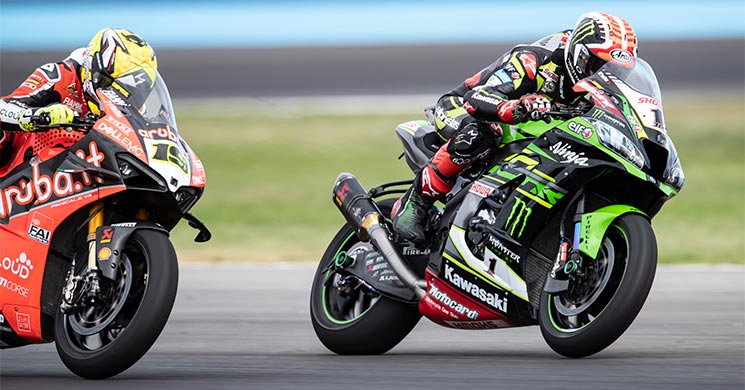 JONATHAN REA