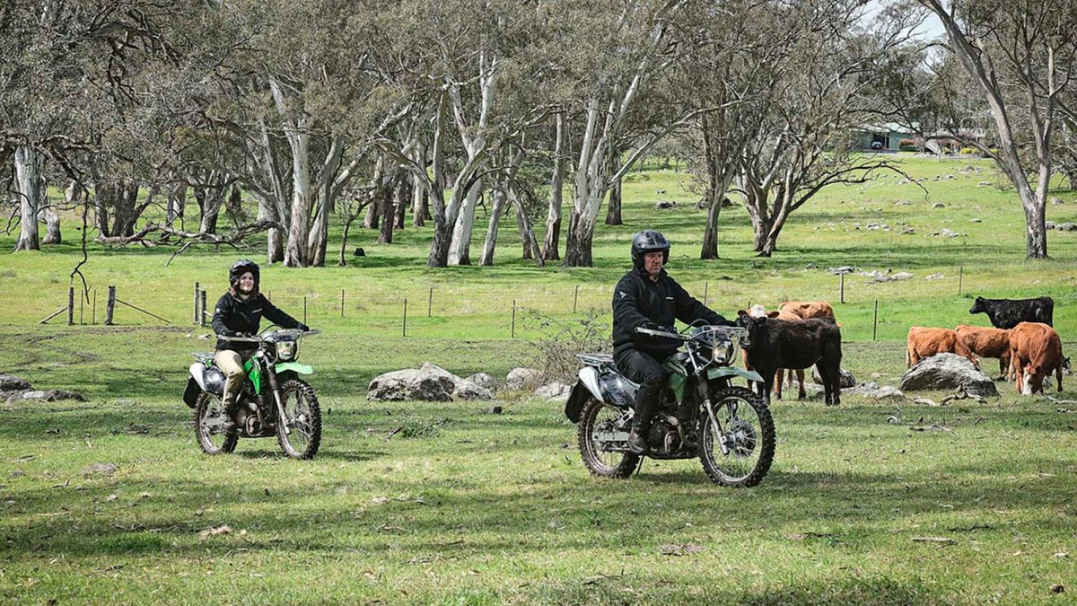 KawasakiStockman_compressed