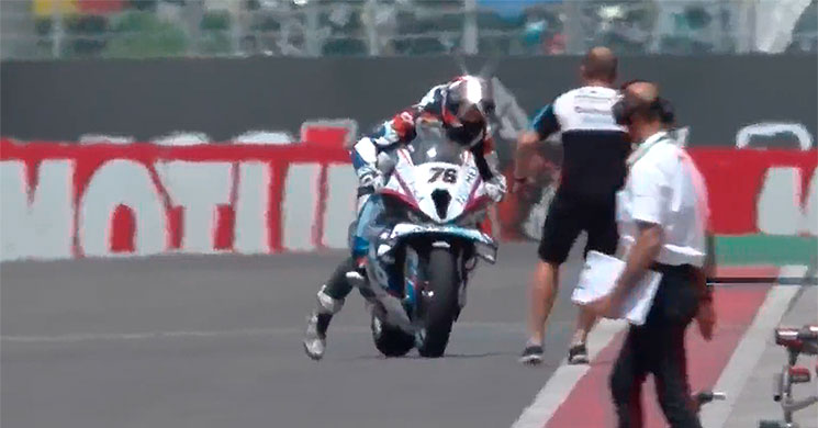 loris baz