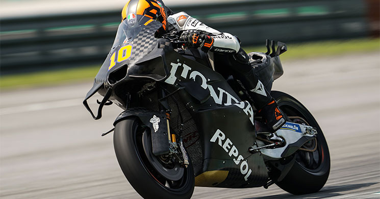 luca marini