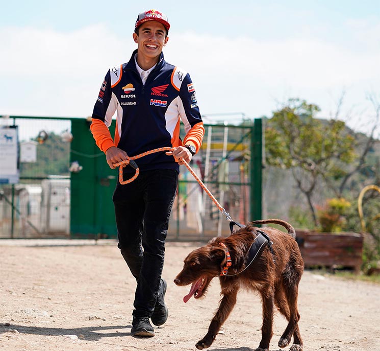 MarcMarquez-Perro-2.jpg
