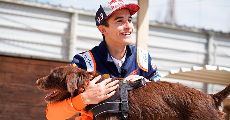 /MarcMarquez-Perro.jpg