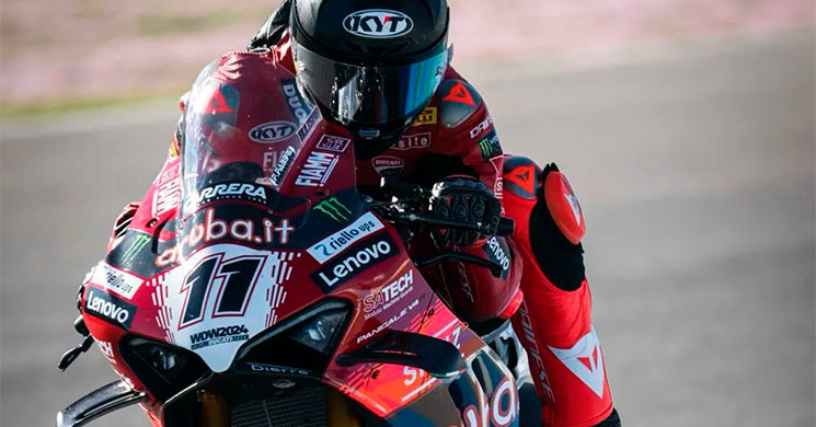 bulega
