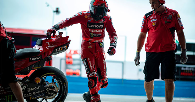 pecco ducati