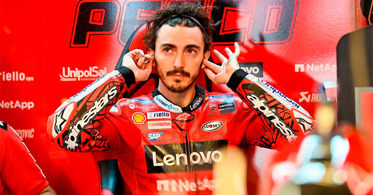 /Peccobagnaia-234542.jpg