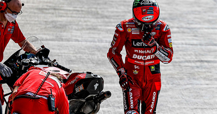 /Peccobagnaia-4536.jpg