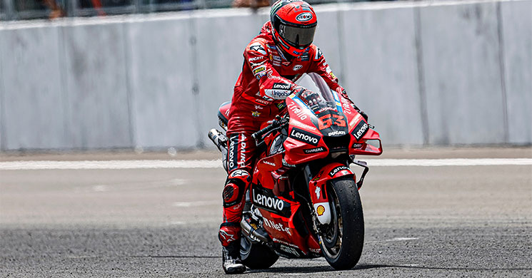 /Peccobagnaia