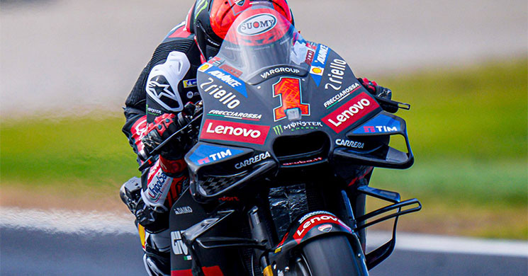 /Peccobagnaia2024.jpg