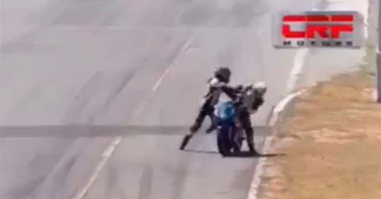 PeleaCostaRica.jpg