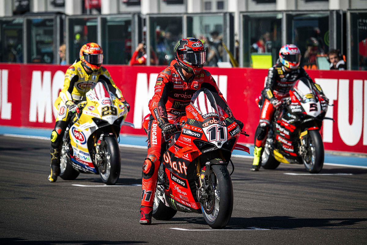 Bulega_