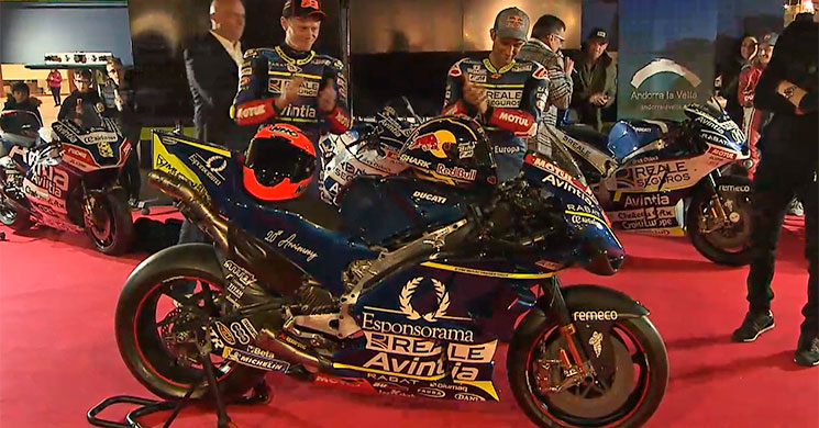 /RealeAvintia2020.jpg