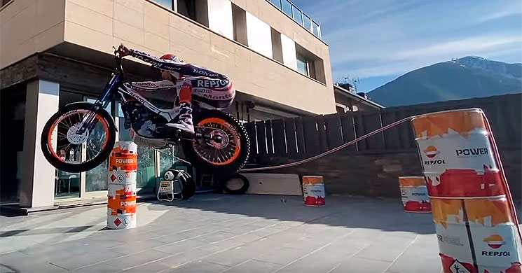 toni bou