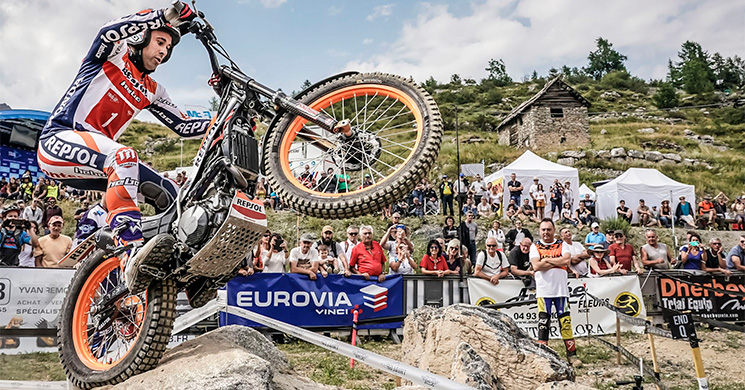toni bou