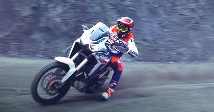 toni bou