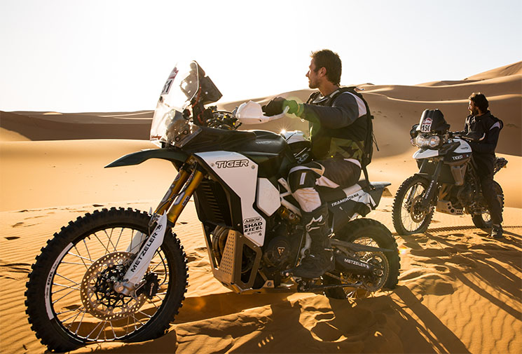 Triumph-Tiger-Tramontana-4.jpg
