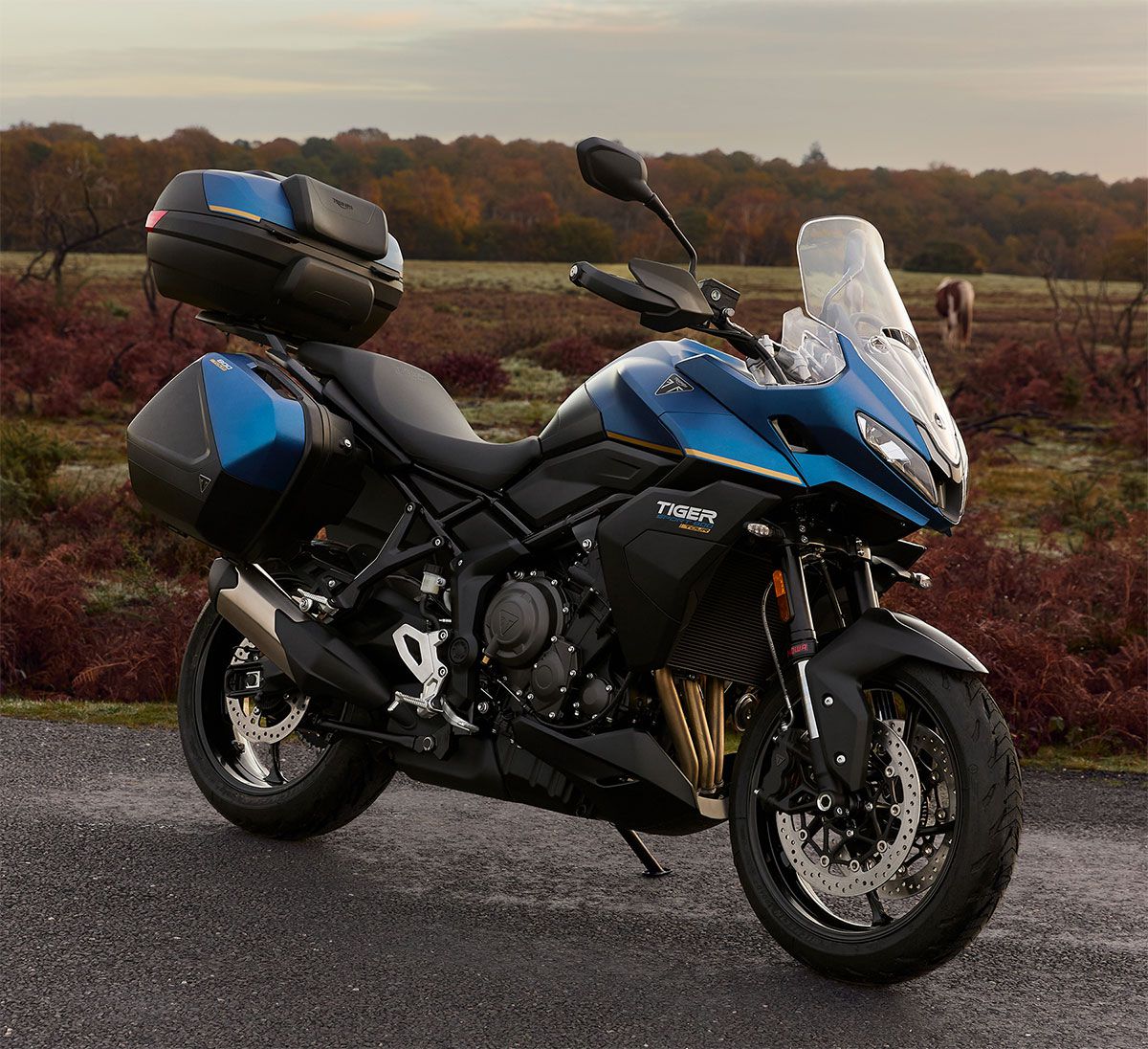 TriumphTigerSport-tour