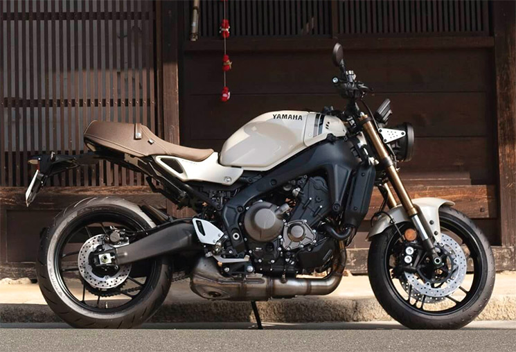 xsr 900 marfil