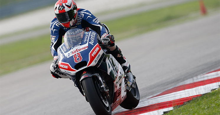 barbera-sepang-irta-2.jpg