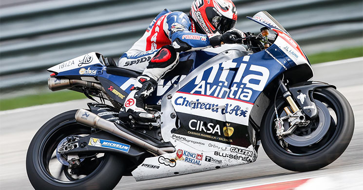 barbera-sepang-irta.jpg