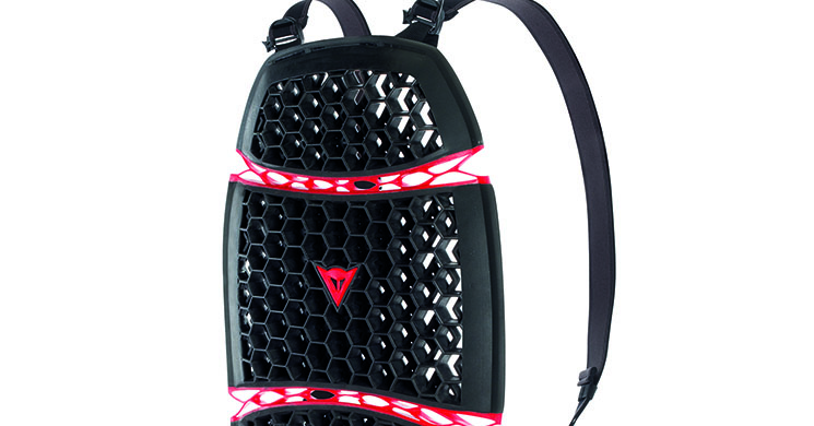 dainese-pro-arm-espaldera.jpg