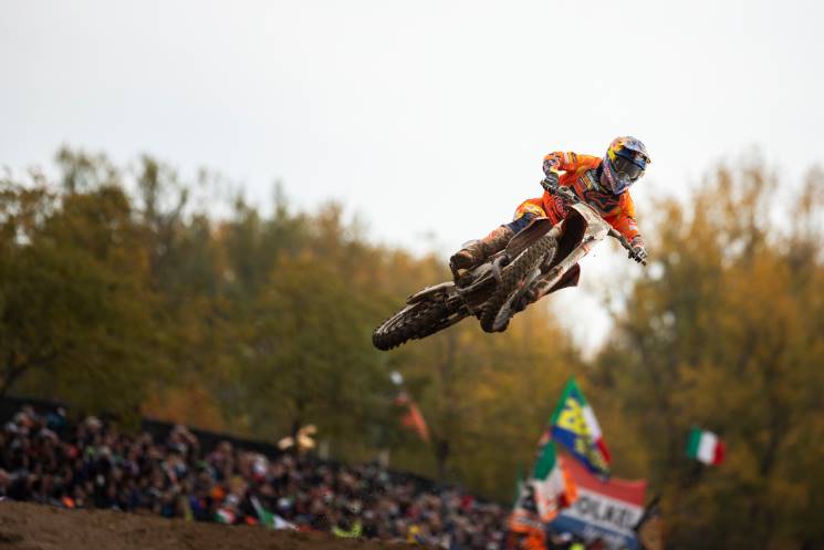 herlings