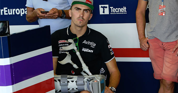 loris-baz-2016(1).jpg