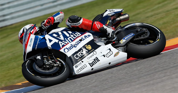 loris-baz-avintia.jpg
