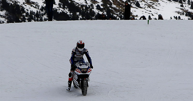 loris-baz-nieve-avintia.jpg