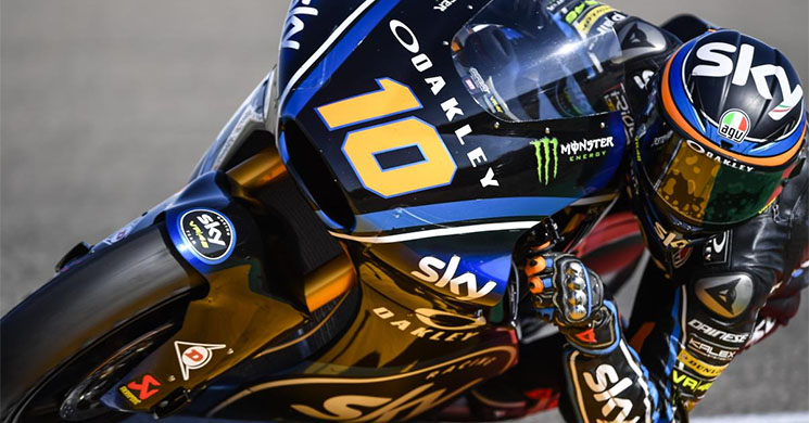 luca marini
