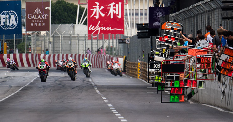 macaugp.jpg