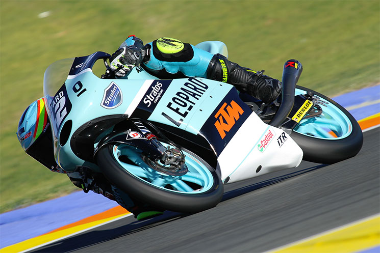 marcos-ramirez-leopard-valencia-2.jpg
